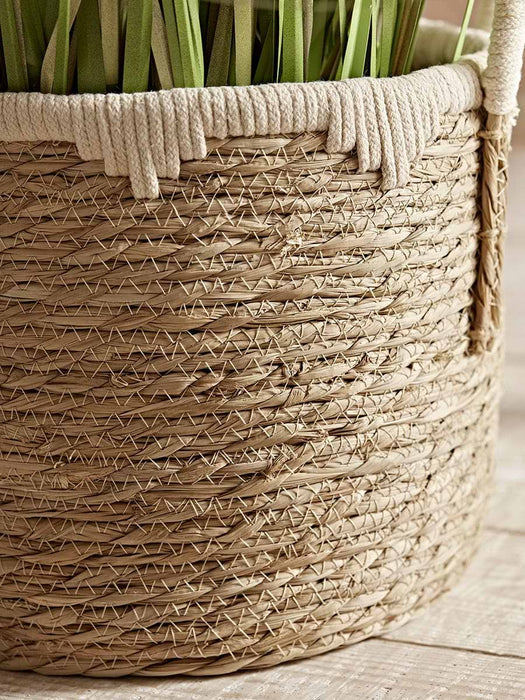 Two Handled Seagrass Planters