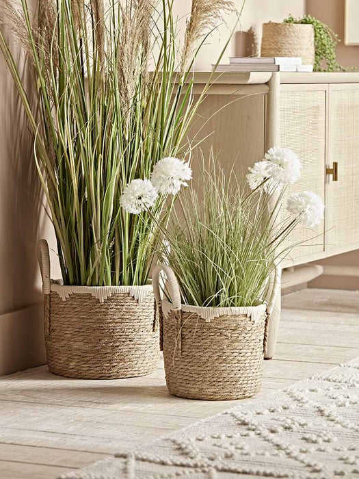 Two Handled Seagrass Planters