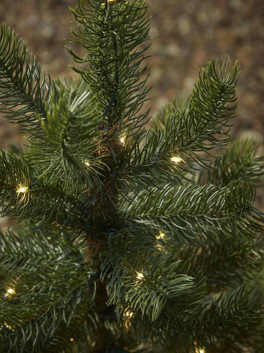 Light Up Pottable Pine Tree - Small