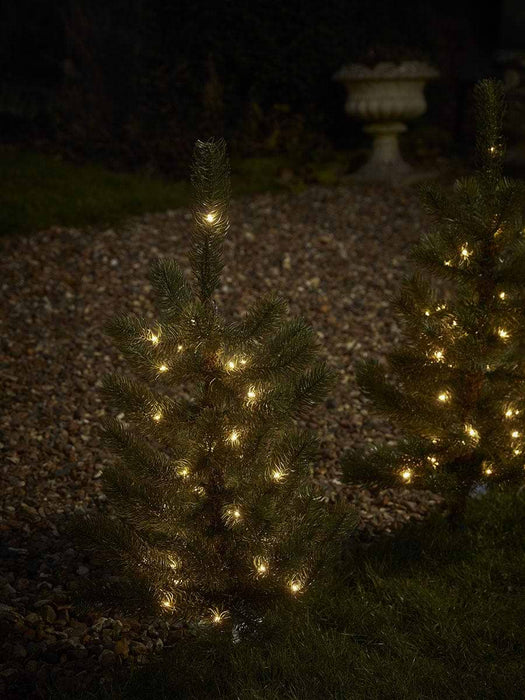 Light Up Pottable Pine Tree - Small