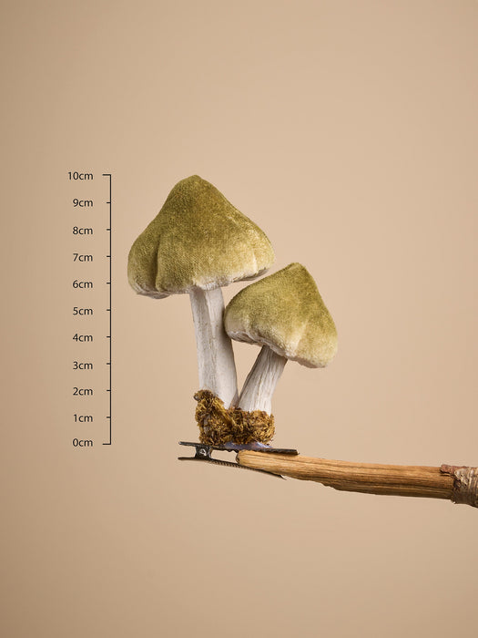 Six Velvet Mushroom Clips