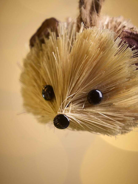 Six Miniature Brush Hedgehog Baubles