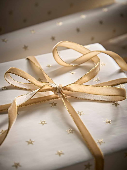 Slim Velvet Ribbon - Ochre & Gold 20m