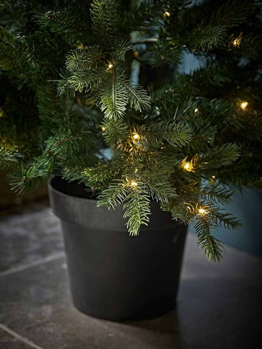 Indoor Outdoor Bergen Spruce Pre-Lit 4ft Tree