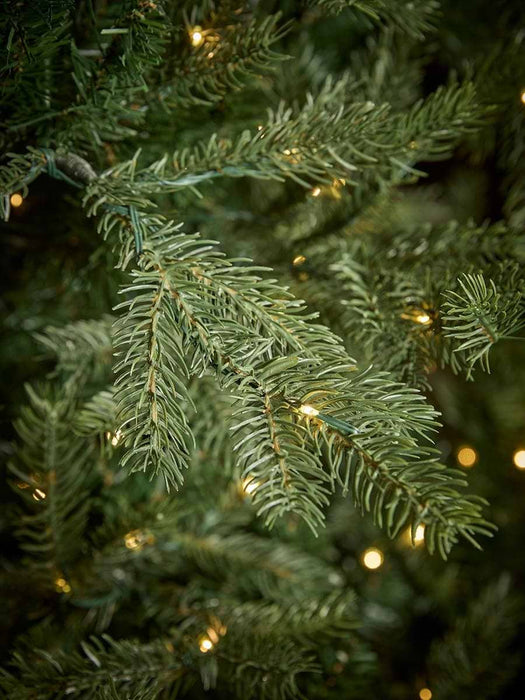 Bergen Spruce Pre-Lit Christmas Tree - 8ft