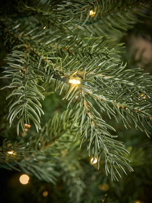 Bergen Spruce Pre-Lit Christmas Tree - 8ft