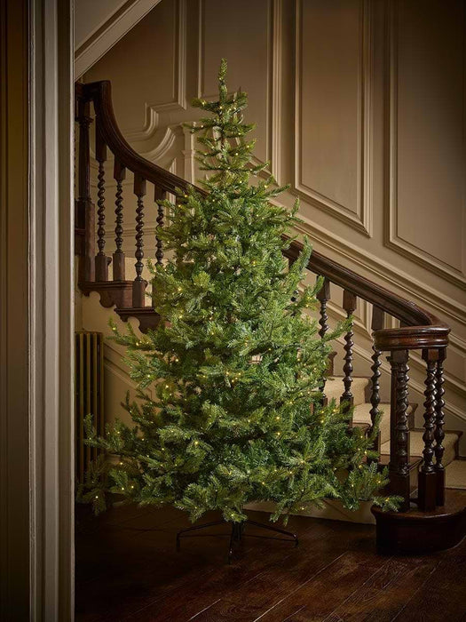 Bergen Spruce Pre-Lit Christmas Tree - 8ft