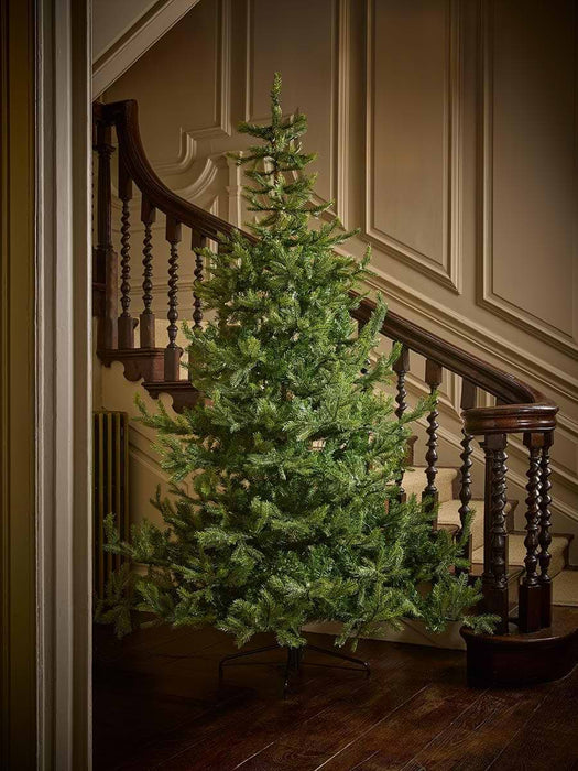 Indoor Outdoor Bergen Spruce Pre-Lit 4ft Tree