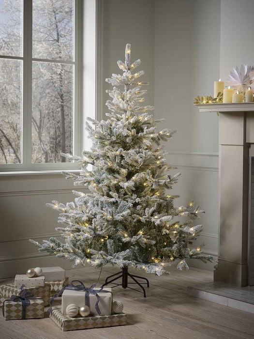Snowy Bergen Spruce Pre-Lit Christmas Tree - 6ft