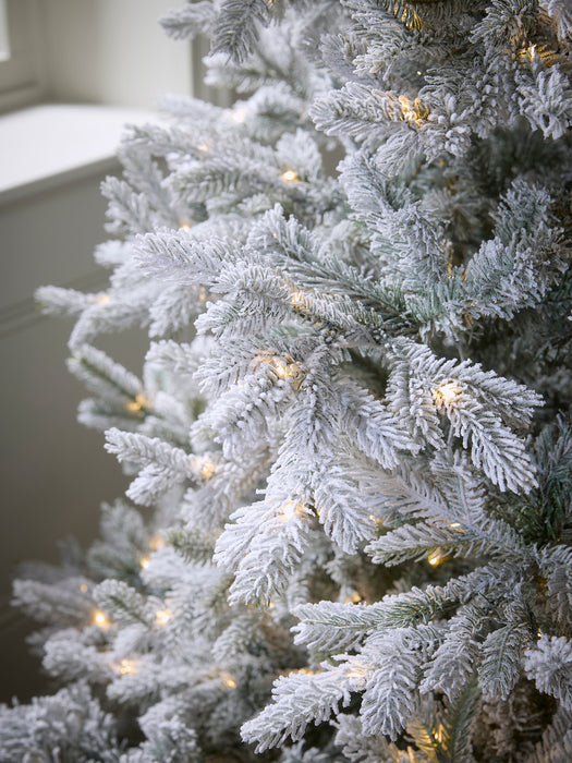 Snowy Bergen Spruce Pre-Lit Christmas Tree - 6ft