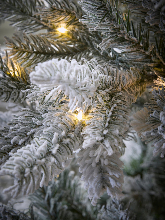 Snowy Bergen Spruce Pre-Lit Christmas Tree - 6ft