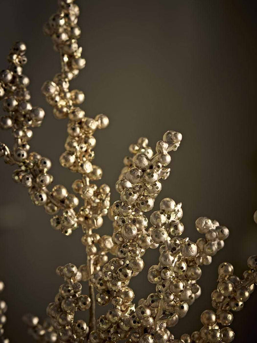 Champagne Berry Spray