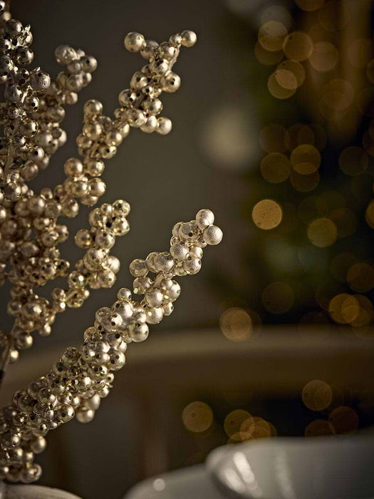 Champagne Berry Spray