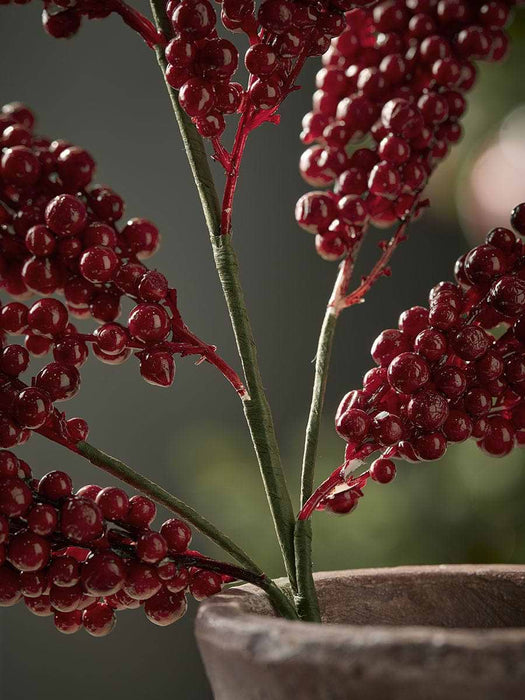Bunched Berry Spray