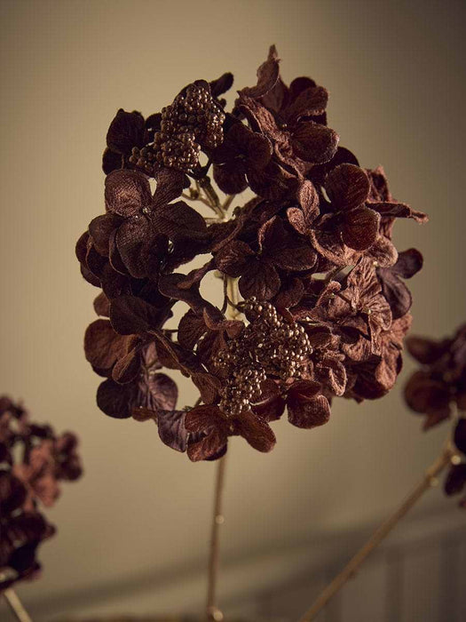 Hydrangea Stem - Brown