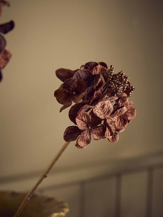 Hydrangea Stem - Brown