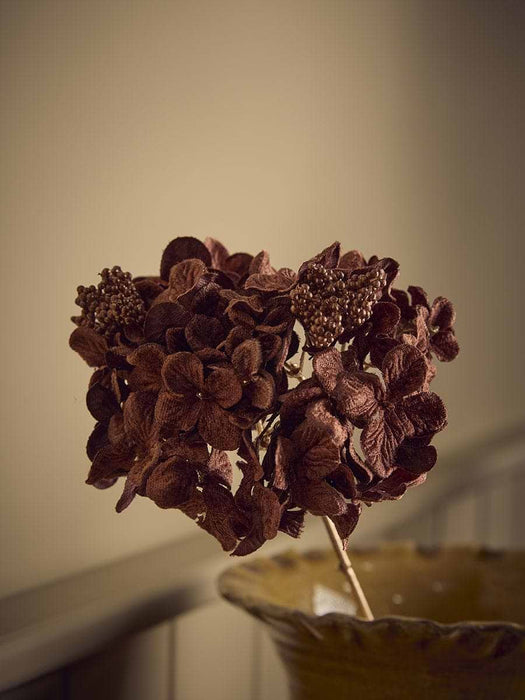 Hydrangea Stem - Brown
