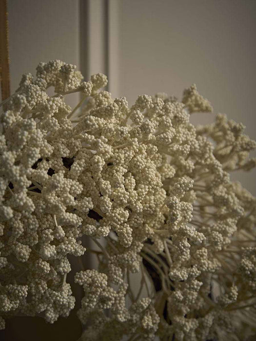 Gypsophila Wreath