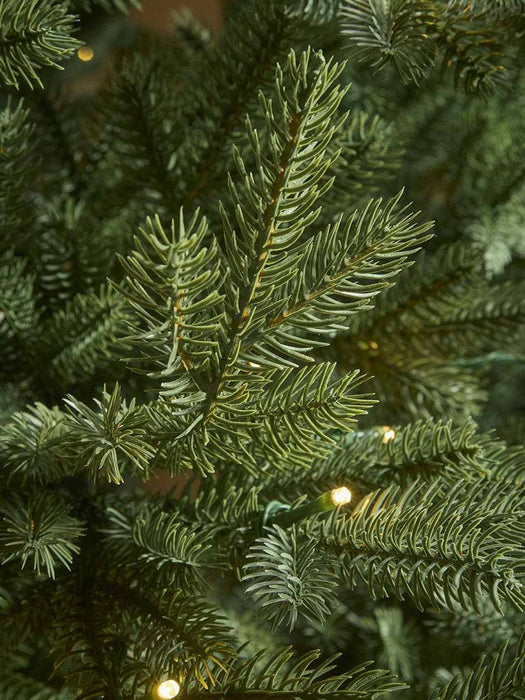 Majestic Evergreen Pre- Lit Christmas Tree -7ft