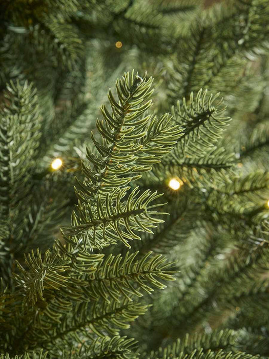 Majestic Evergreen Pre- Lit Christmas Tree -7ft