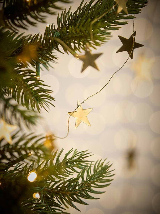 Metal Star Garland