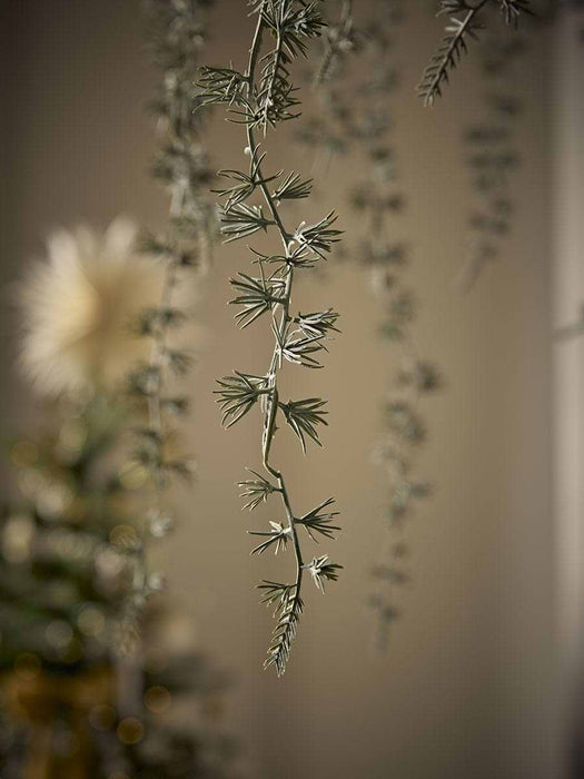 Hanging Wreath