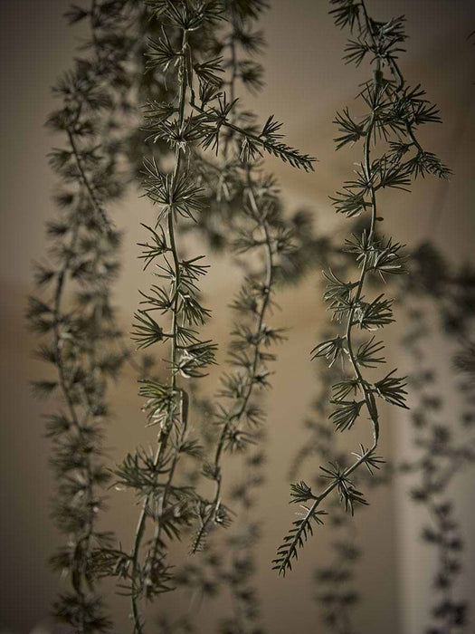 Hanging Wreath
