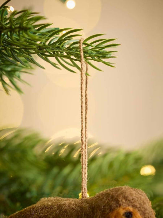 The Christmas Robin