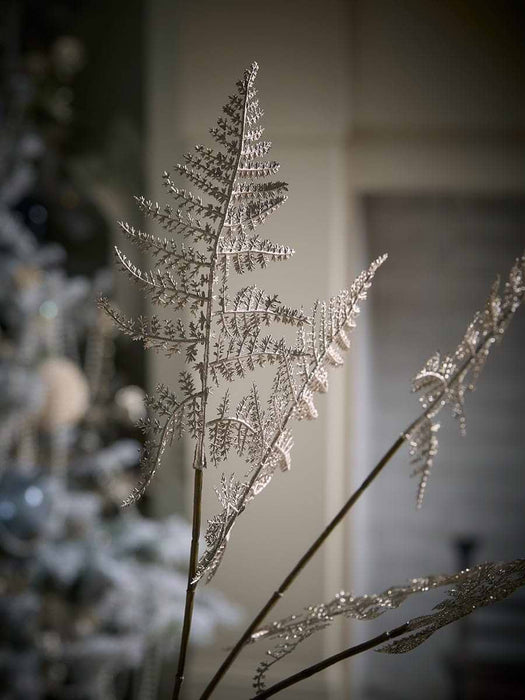 Winter Champagne Fern