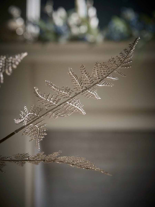 Winter Champagne Fern