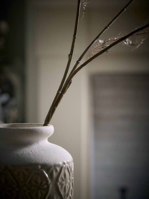Winter Champagne Fern