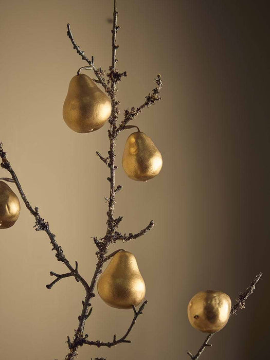Winter Orchard Pear Stem