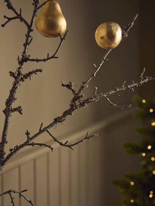 Winter Orchard Pear Stem