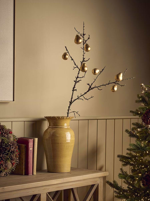 Winter Orchard Pear Stem