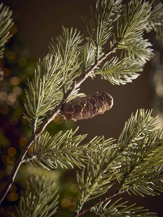 Woodland Pine Stem