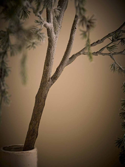 Frosted Woodland Pine Cone Stem