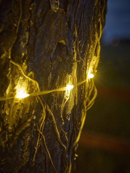Twinkle Effect Warm White Flexi Wire Lights