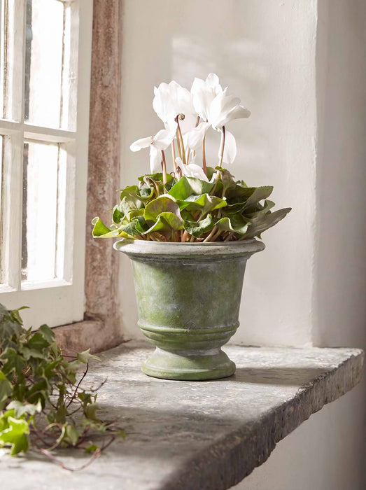 Indoor Outdoor Ceramic Planter - Large