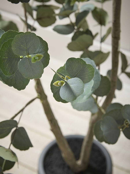 Faux Potted Eucalyptus Tree - Large