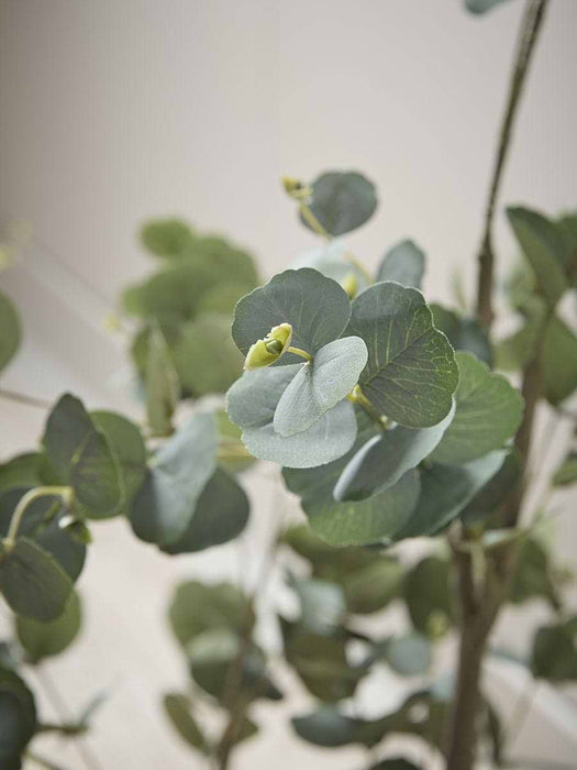Faux Potted Eucalyptus Tree - Large