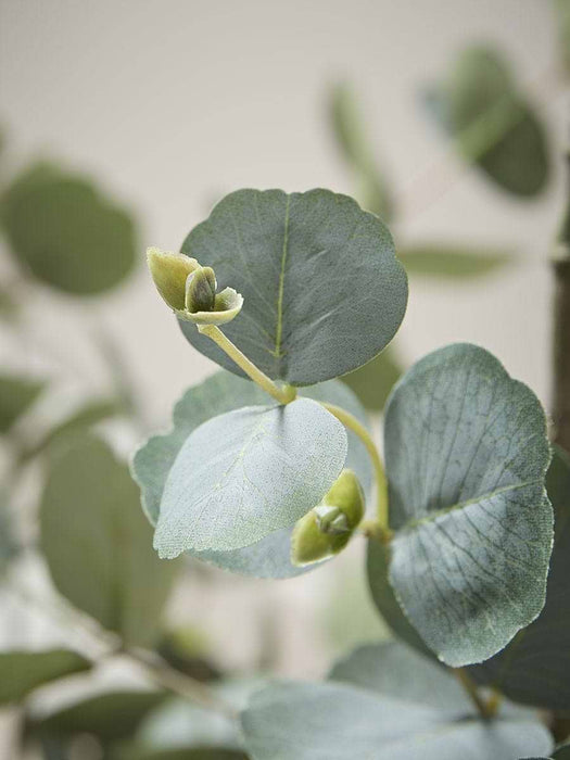 Faux Potted Eucalyptus Tree - Large