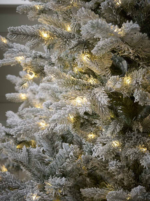 Snowy Bergen Spruce Pre-Lit Christmas Tree - 6ft