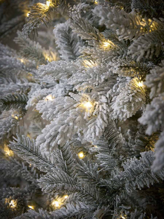 Snowy Bergen Spruce Pre-Lit Christmas Tree - 6ft