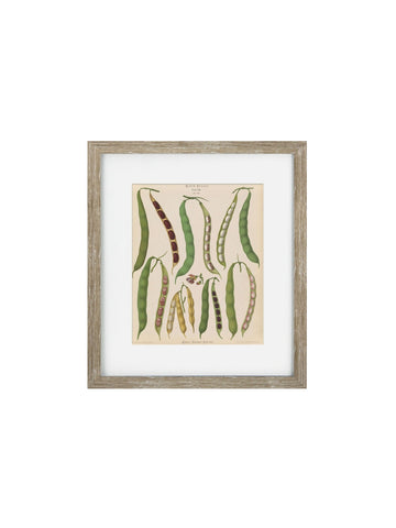 Vintage Veg IV Framed Art Print