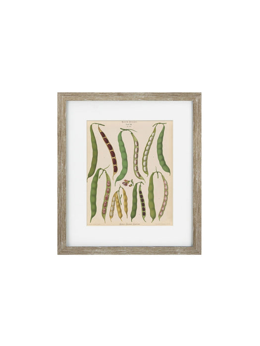 Vintage Veg IV Framed Art Print