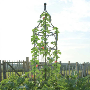 The Big Ben Grand Pillar Sweet Pea Obelisk Tower