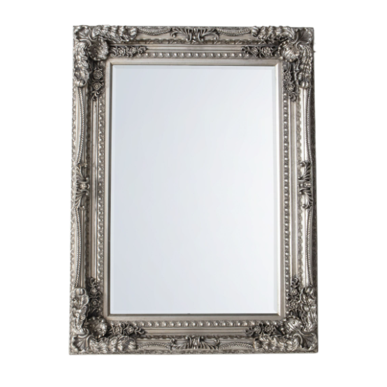 Carved Louis Mirror - Silver