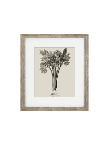 Vintage Celery Framed Print