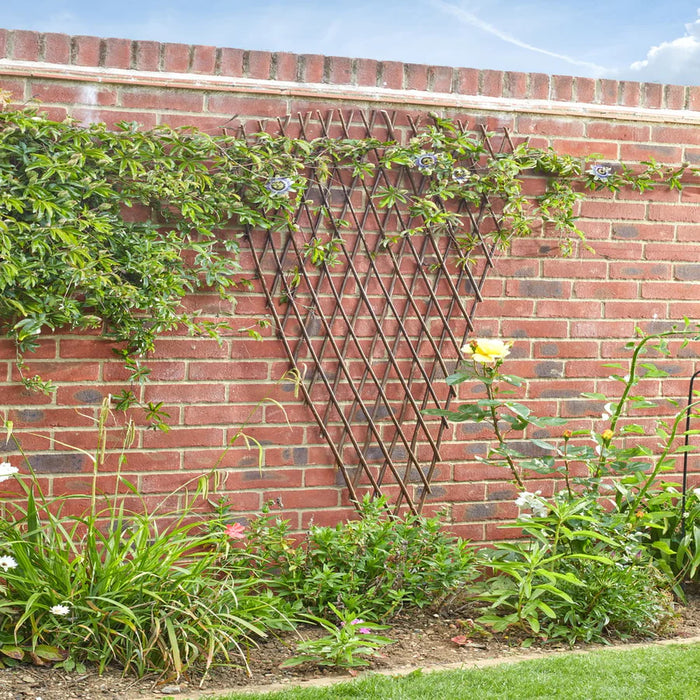 The Sovereign Expanding Radiating Fan Trellis (1.8m)