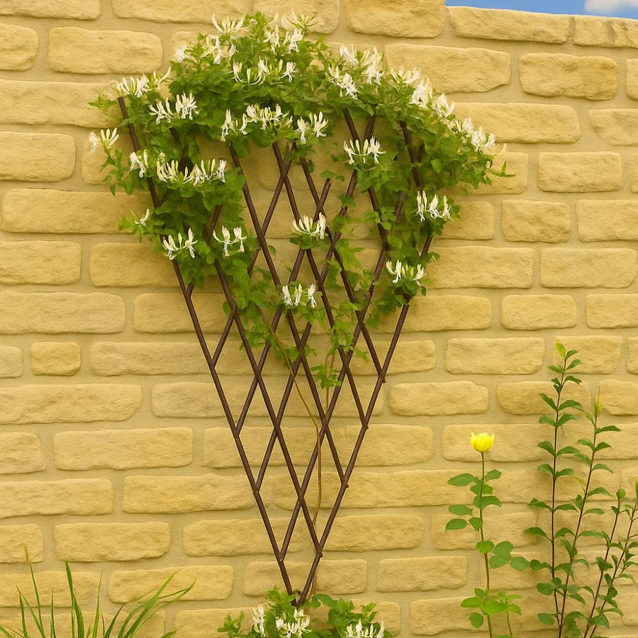 The Sovereign Expanding Radiating Fan Trellis (1.8m)